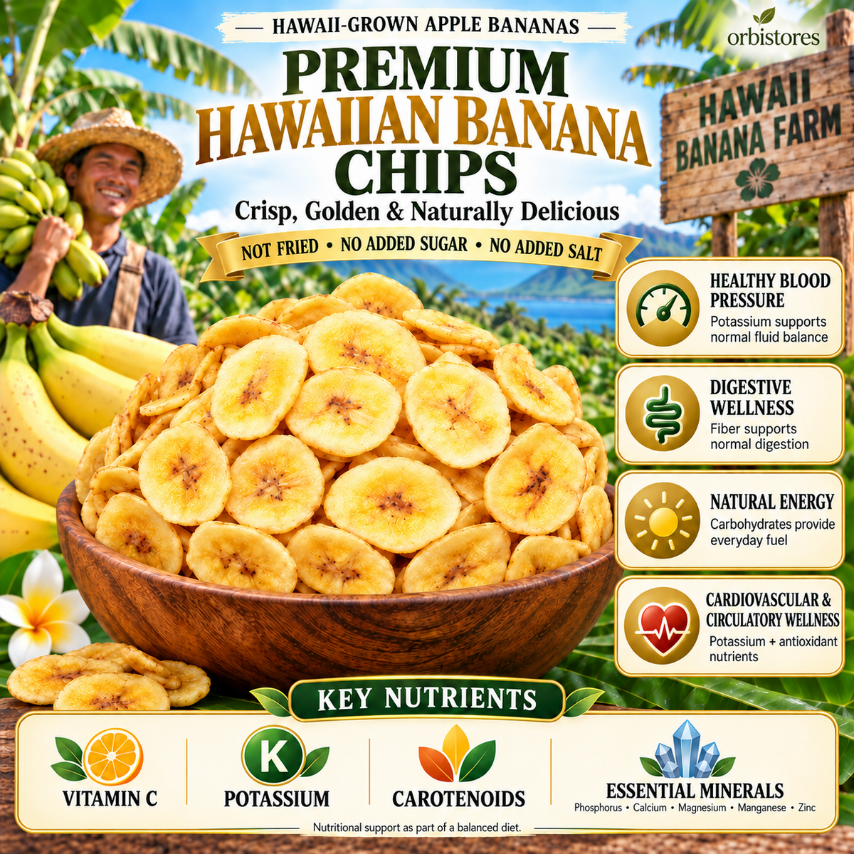 Premium Hawaiian Apple Banana Chips – Crisp-Dried Island Fruit, Not Fried, No Added Sugar or Salt-$LX