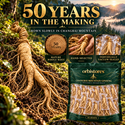 🌿 Rare 50-Year Whole Fresh Ginseng Root — Hand-Selected Mature Ginseng, Premium Wellness Gift 🎁-Johnny