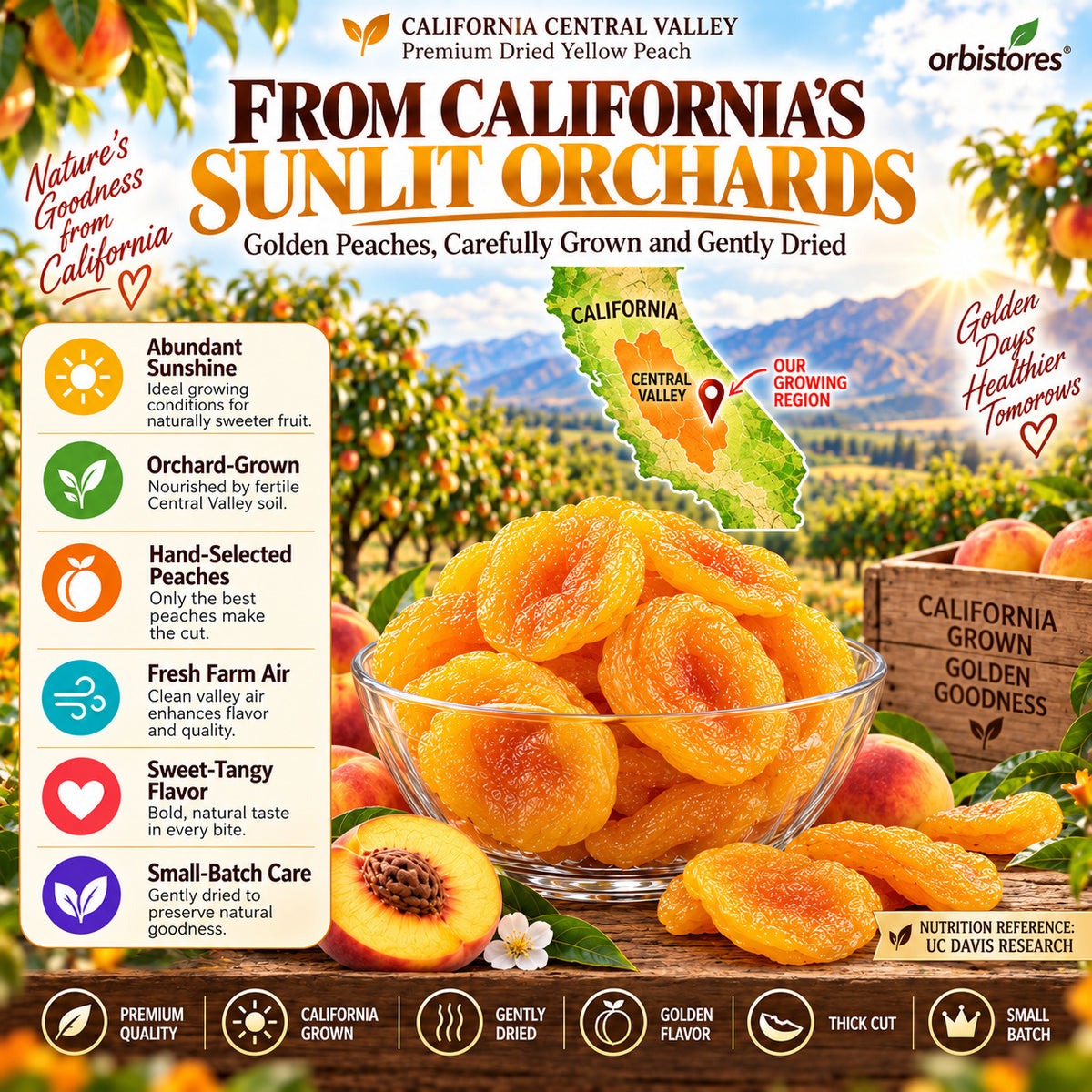 California Sun-Kissed Dried Peaches – Thick-Cut, Naturally Sweet & Golden-$LX