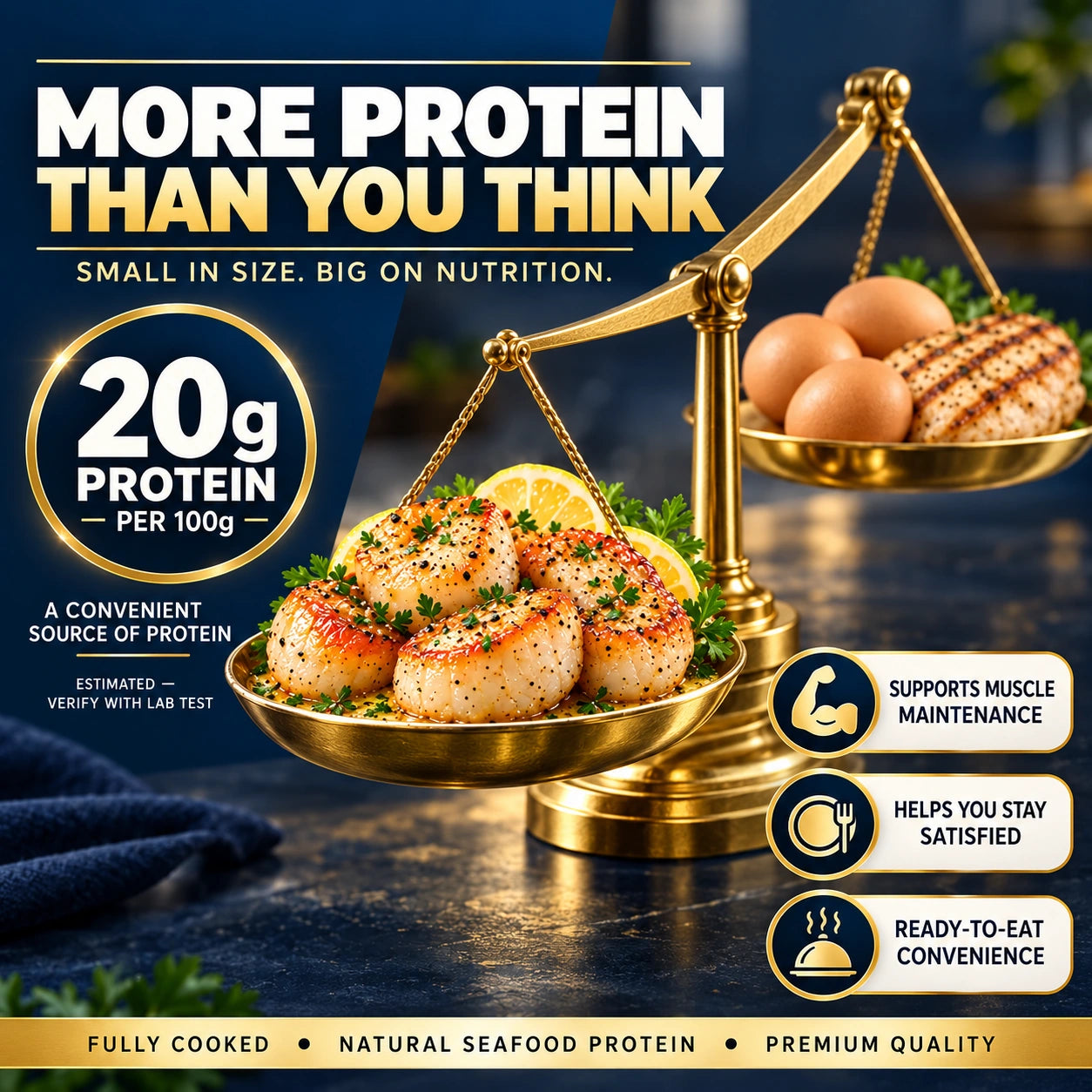Scallop protein concept artwork