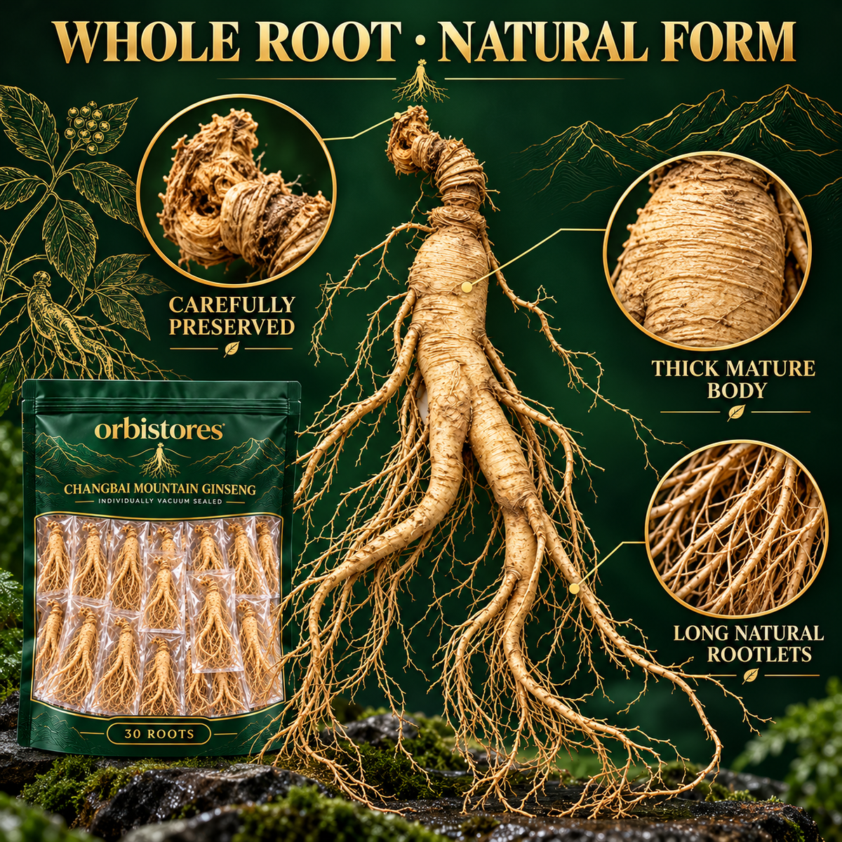 🌿 Rare 50-Year Whole Fresh Ginseng Root — Hand-Selected Mature Ginseng, Premium Wellness Gift 🎁-Johnny