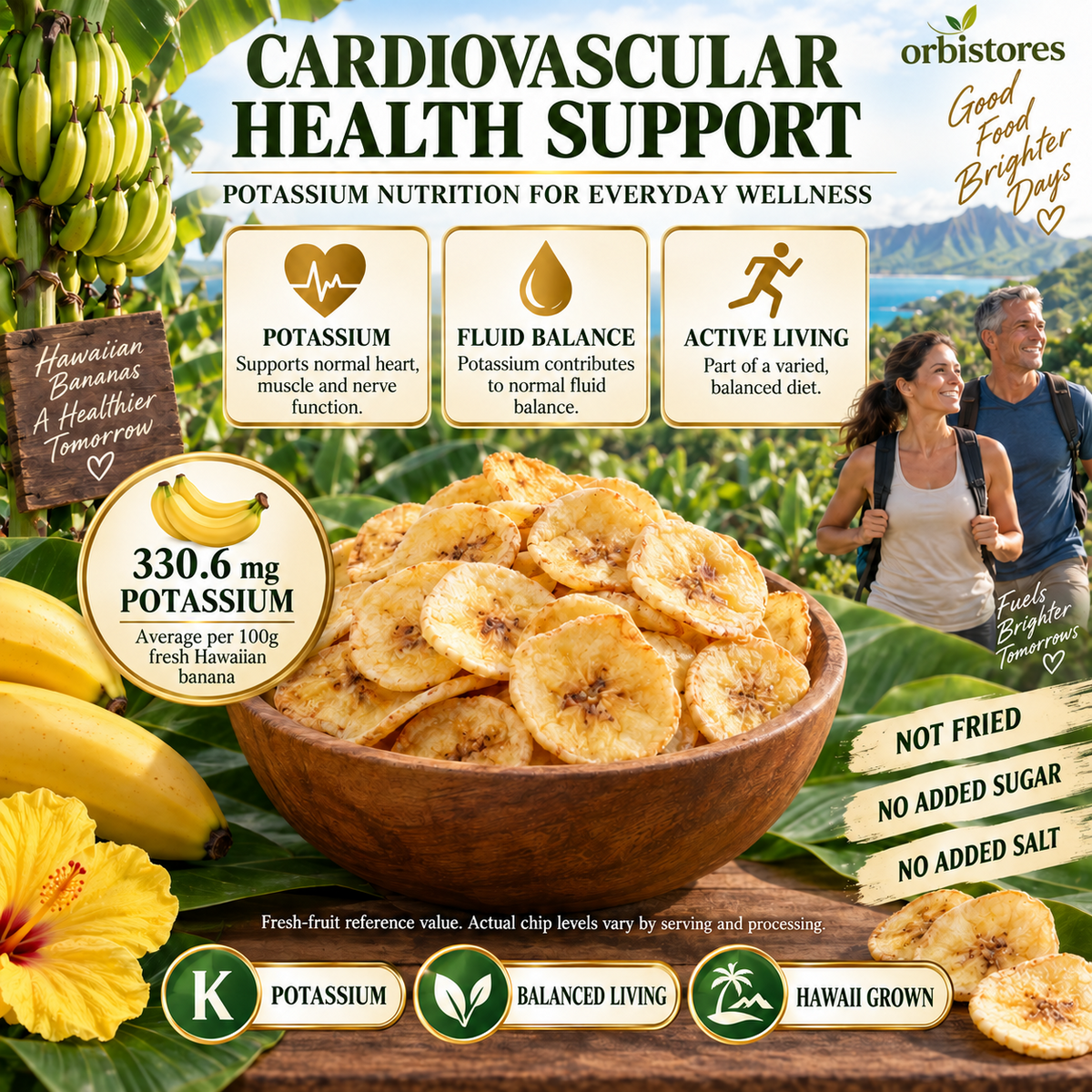 Premium Hawaiian Apple Banana Chips – Crisp-Dried Island Fruit, Not Fried, No Added Sugar or Salt-$LX