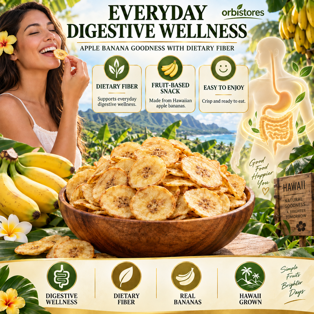Premium Hawaiian Apple Banana Chips – Crisp-Dried Island Fruit, Not Fried, No Added Sugar or Salt-$LX