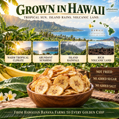 Premium Hawaiian Apple Banana Chips – Crisp-Dried Island Fruit, Not Fried, No Added Sugar or Salt-$LX