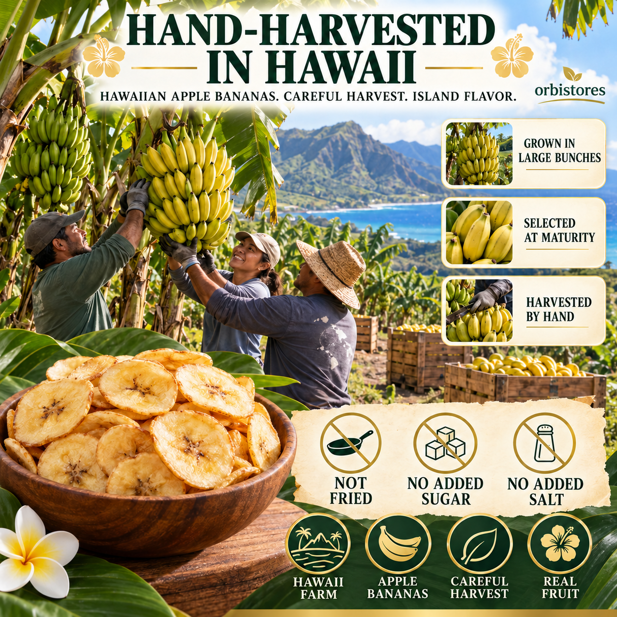 Hand-Harvested in Hawaii
