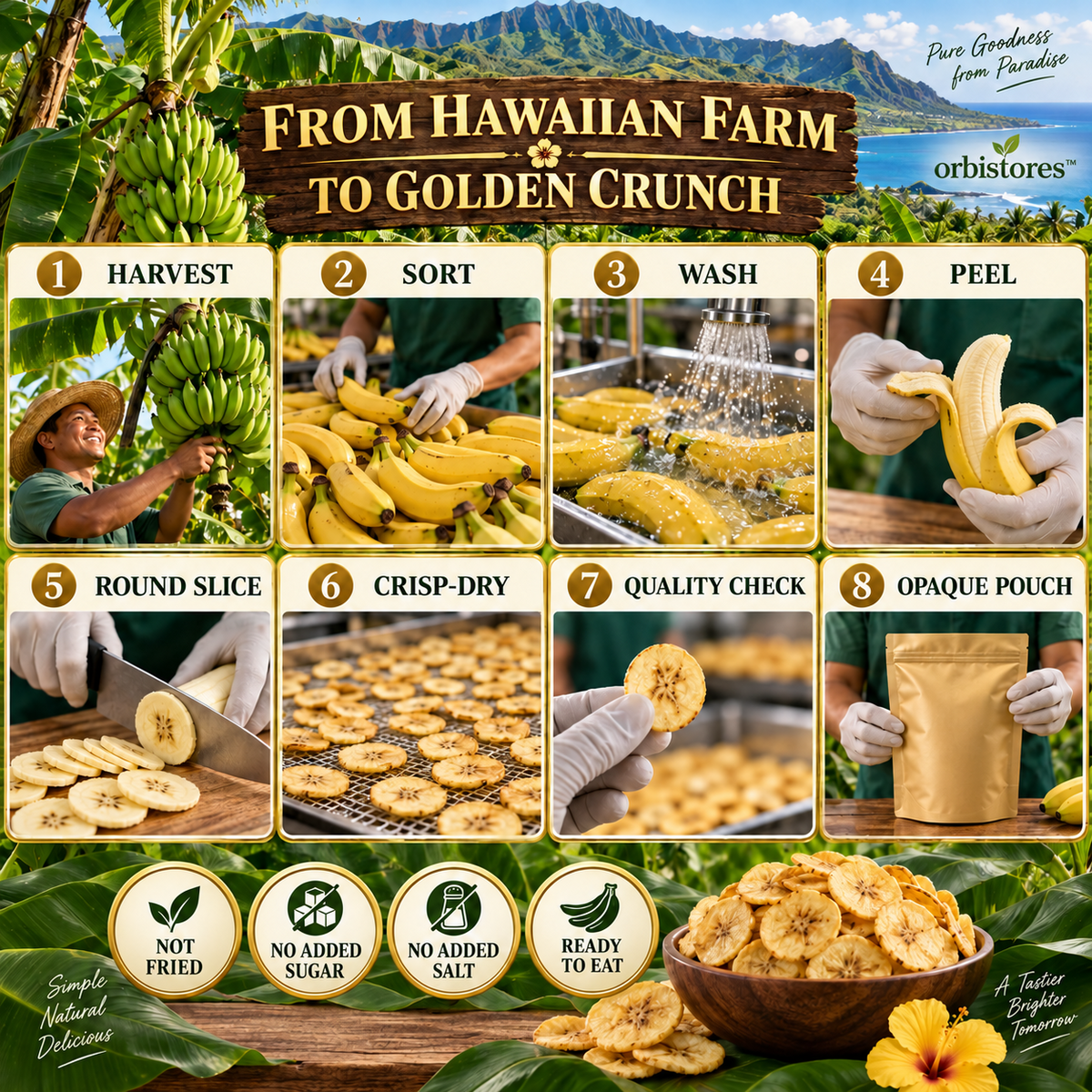 Premium Hawaiian Apple Banana Chips – Crisp-Dried Island Fruit, Not Fried, No Added Sugar or Salt-$LX