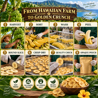 Premium Hawaiian Apple Banana Chips – Crisp-Dried Island Fruit, Not Fried, No Added Sugar or Salt-$LX