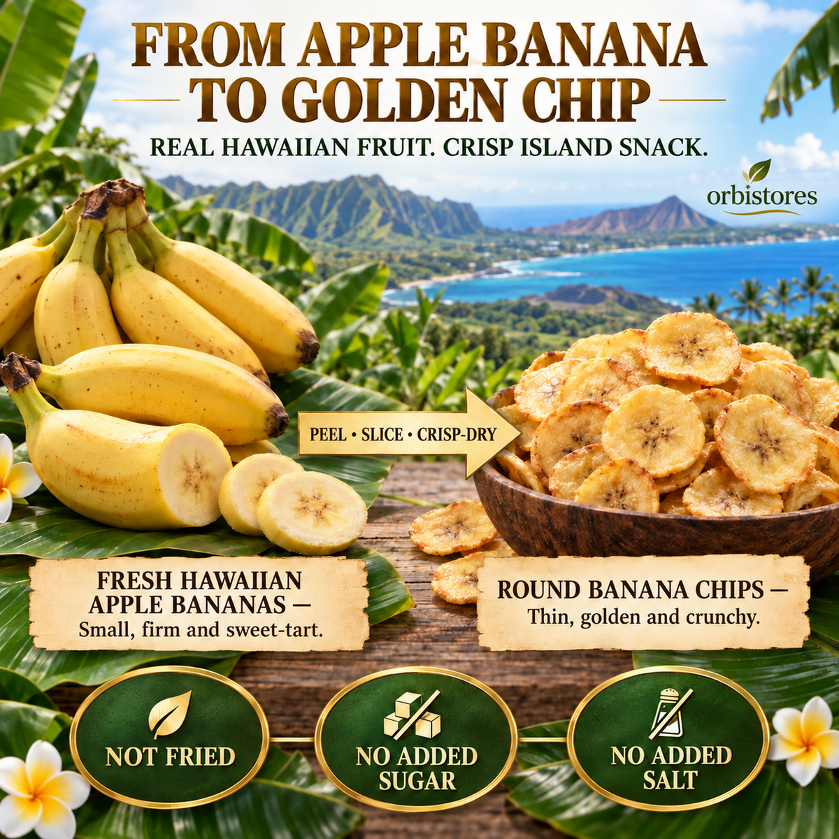 Premium Hawaiian Apple Banana Chips – Crisp-Dried Island Fruit, Not Fried, No Added Sugar or Salt-$LX