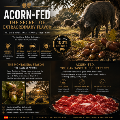 100% Ibérico Bellota Ham – Premium Acorn-Fed Pata Negra from Spain-$LX