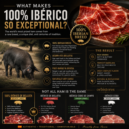 100% Ibérico Bellota Ham – Premium Acorn-Fed Pata Negra from Spain-$LX